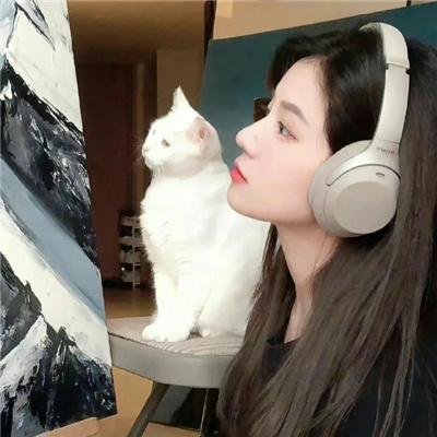 超级迪克