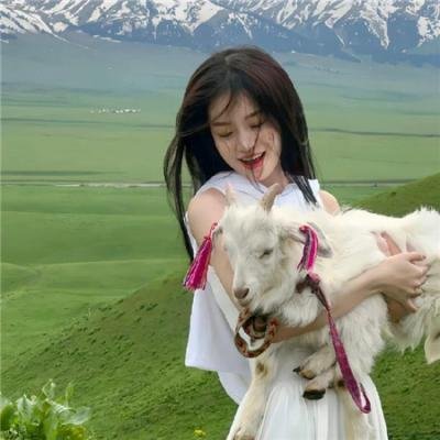 我们曾是炸弹客